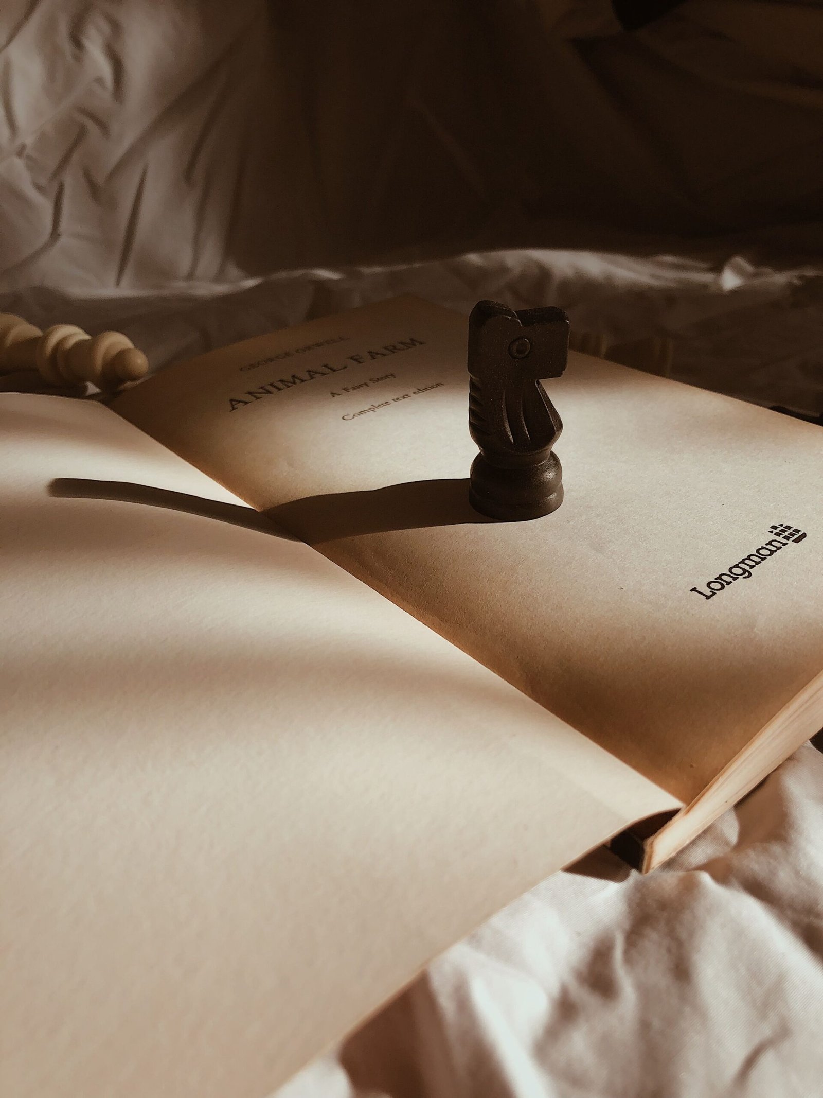 pexels-book-hut-440747141-17214401